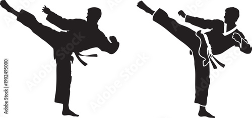 Two martial artists performing kicks in black and white silhouettes
