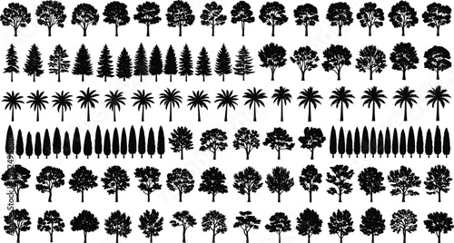 Large Set of Black Tree Silhouettes Including Palm Pine Oak and Cypress Vectors for Landscape Design Nature Illustration Forest Greenery and Environmental Graphic Projects