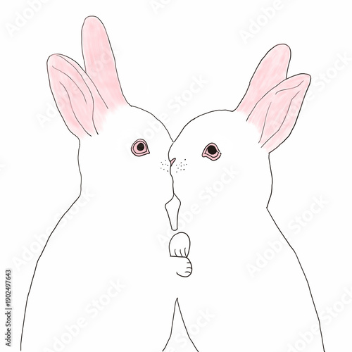 white rabbit kiss