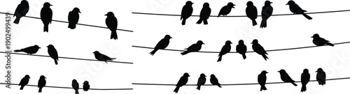 Silhouettes of birds perched on electric wires in urban sky, minimal nature scene with flock, wildlife photography concept for backgrounds, patterns, and artistic inspiration