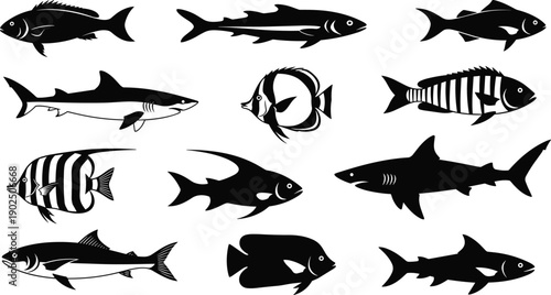 Collection of fish silhouettes including tropical and ocean species, detailed marine life black vector set, sea animals isolated for logo, tattoo and design