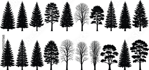 Collection of forest tree silhouettes including pine, fir and deciduous species, black woodland nature elements isolated for landscape, map and design illustration