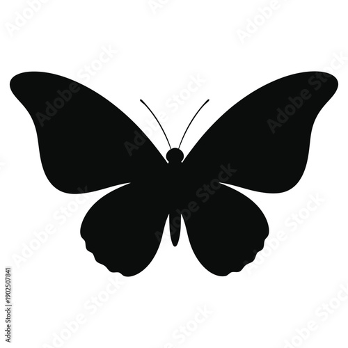 Black Silhouette of a Butterfly
