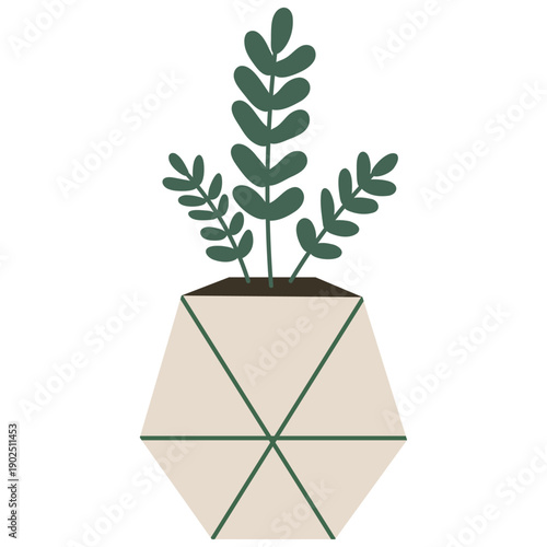 Green Leaf Plant In White Minimal Hexagon Pot Top View Vector