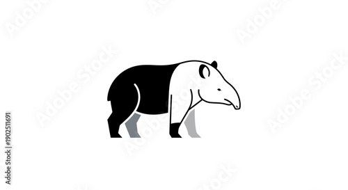 Black and White Tapir Animal Standing on an Isolated White Background