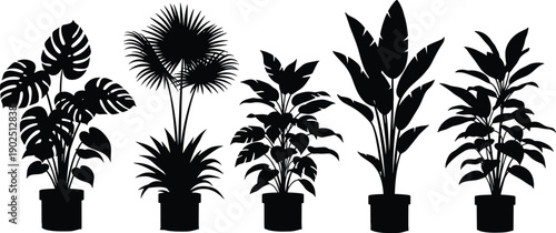 Set of tropical indoor potted plant silhouettes including monstera, palm and banana leaves, black houseplant icons isolated for interior, decor and design