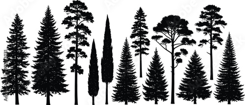 Set of tree silhouettes including pine, fir and cypress, detailed forest black vector collection, nature landscape elements isolated for design use