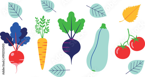 Colorful flat vegetable illustration set with beetroot carrot radish zucchini tomatoes and leaves for healthy food design and organic lifestyle concepts