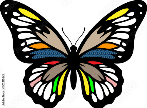Vibrant and Symmetrical Butterfly Illustration with Detailed Wing Patterns in a Stylized Flat Design, Capturing Nature's Beauty and Insect Elegance