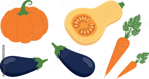 Colorful flat vegetable illustration set with pumpkin butternut squash eggplant and carrots for healthy cooking organic food and autumn design projects