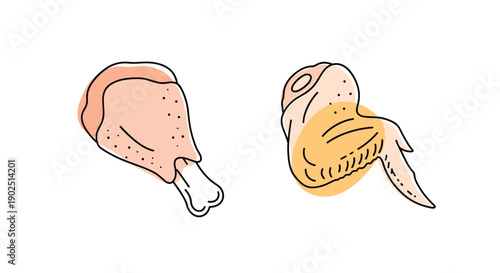 Illustration of a raw chicken drumstick and a chicken wing for meat industry and cooking recipe design elements.