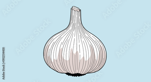 Detailed illustration of a whole garlic bulb with a fine line texture is centered against a light blue background.