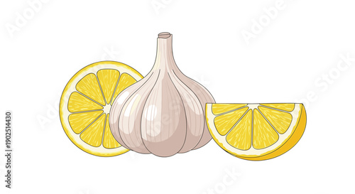 Combination of a fresh garlic bulb and yellow lemon slices create a healthy and flavorful culinary composition on white.