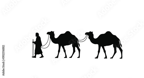 A caravan of camels and a traveler crossing a desert landscape silhouette