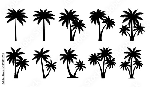 Black Coconut Palm Tree Icon Collection Vector for Tropical Nature and Travel Themes