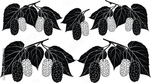 Mulberry branch silhouettes with leaves and berries isolated vector illustration botanical fruit plant design elements set