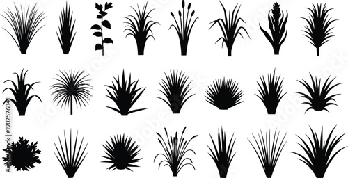 Collection of various grass and plant silhouettes in and nature leaves