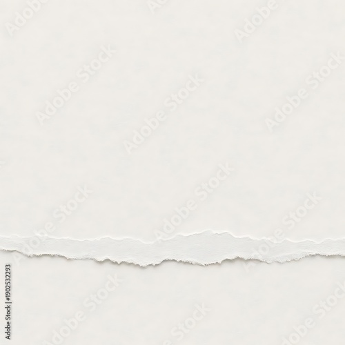 White torn paper texture background with rough edges and grunge details
