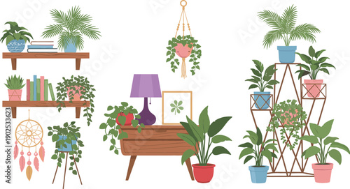 Flat vector illustration set of indoor houseplants on wooden shelves, a side table, and an architectural metal stand