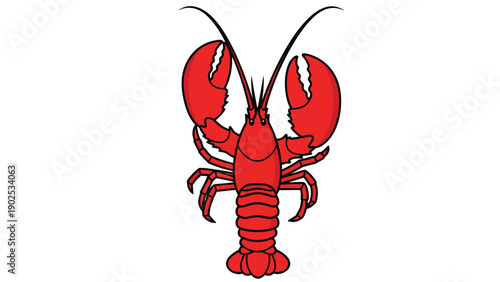 Whole cooked red lobster shown from above with large claws and long antennae on a clean white background for gourmet seafood.