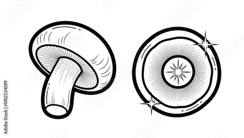 Line art sketches of shiitake mushrooms showing the cap and underside textures with small sparkles on a white background.