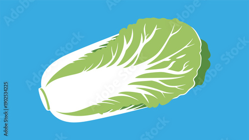 Fresh napa cabbage with long green leaves and white stalks positioned diagonally on a bright solid blue background.