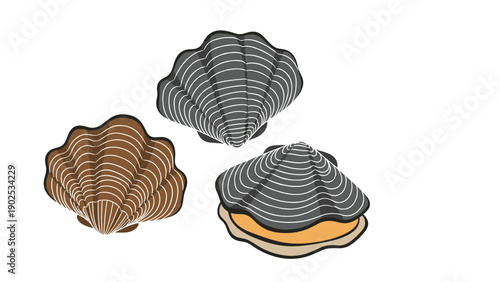 Set of three decorative seashells in brown and black with white striped patterns arranged artistically on a white base.