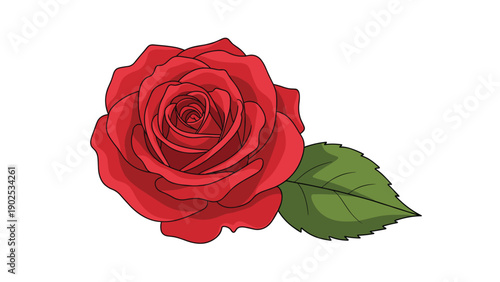 Beautiful single red rose flower in full bloom with a green leaf attached shown on a clean white background for themes of love.