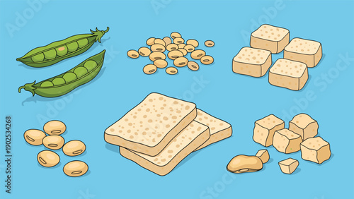 Collection of different plant-based protein sources including green peas, soybeans, tofu cubes, and tempeh slices on a blue background.