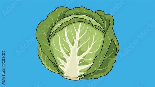 Large head of green cabbage with layered leaves and visible white veins against a solid bright blue background.