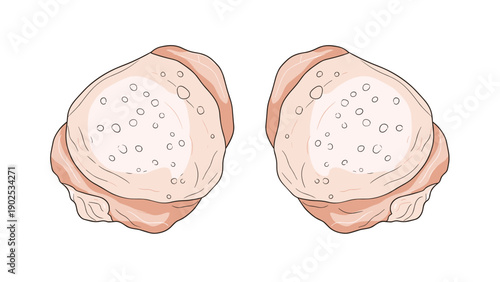 Pair of raw chicken thighs with skin-on showing texture and light pink meat isolated on a plain white background.