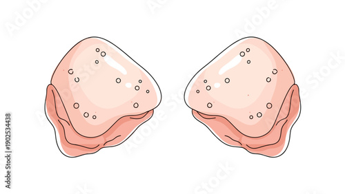 Two pieces of fresh raw chicken thighs with skin on, showing texture and moisture, ready for cooking on a white background.