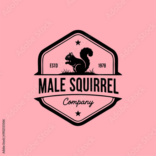 Vintage logo design set emblem