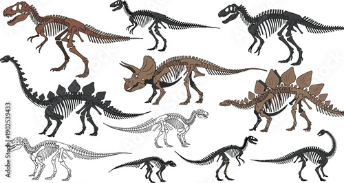 Dinosaur skeleton illustration collection, prehistoric fossil bones set, tyrannosaurus triceratops stegosaurus remains, paleontology science anatomy vector extinct reptiles
