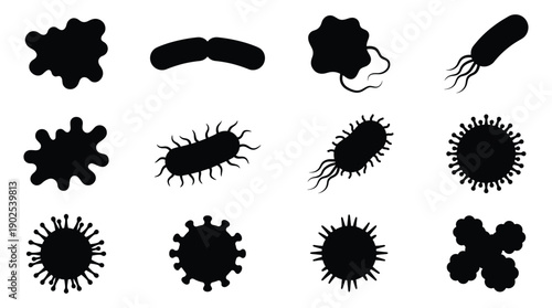 Minimalist icon depicting a vector file with a subtle grey background