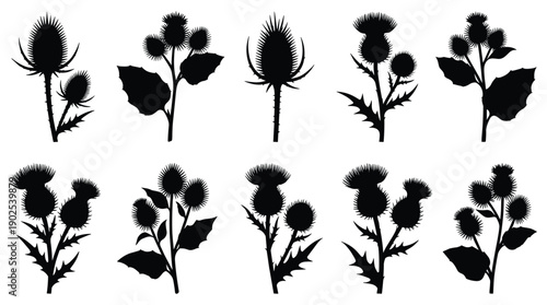 Minimalist graphic depicting a vector file icon with a simple design