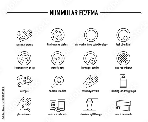 Nummular Eczema symptoms, diagnostic and treatment vector icon set