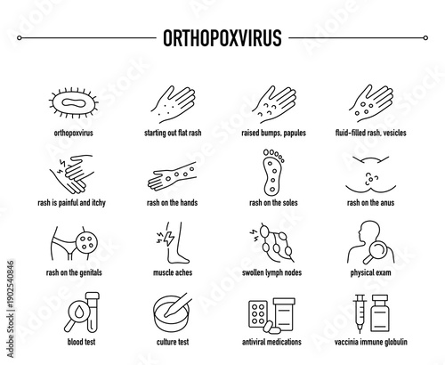 Orthopoxviruses symptoms, diagnostic and treatment vector icon set