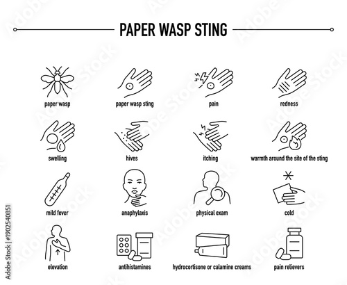 Paper Wasp Sting symptoms, diagnostic and treatment vector icon set