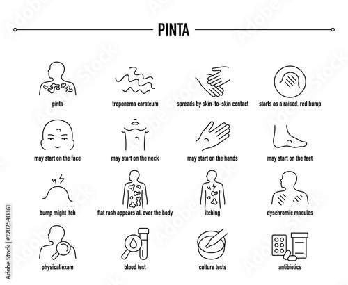 Pinta symptoms, diagnostic and treatment vector icon set