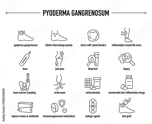 Pyoderma Gangrenosum symptoms, diagnostic and treatment vector icon set.