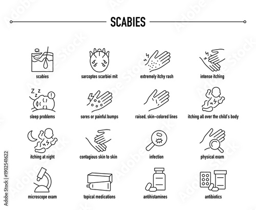 Scabies symptoms, diagnostic and treatment vector icon set