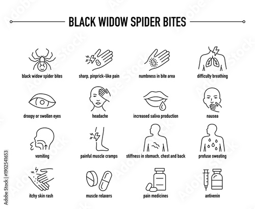 Black Widow Spider Bites symptoms, diagnostic and treatment vector icon set