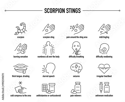 Scorpion Sting symptoms, diagnostic and treatment vector icon set
