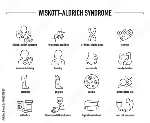 Wiskott-Aldrich Syndrome symptoms, diagnostic and treatment vector icon set