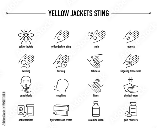 Yellow Jacket Sting symptoms, diagnostic and treatment vector icon set