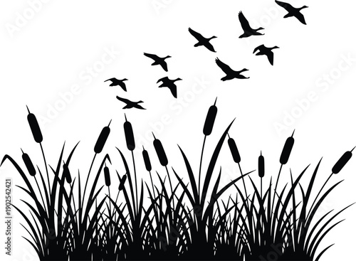 Silhouette of birds flying over reeds in a minimalist style nature