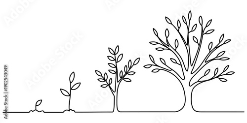 Continuous line drawing illustrating the life cycle and growth stages of a tree from seedling to maturity Vector, illustration