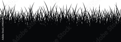 Tall grass field with and silhouette style black and white grass blades