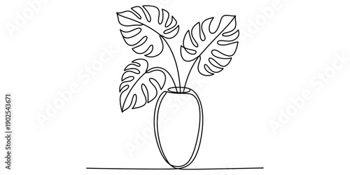 A simple line art illustration of a monstera plant with distinctive split leaves in a minimalist vase Vector, illustration